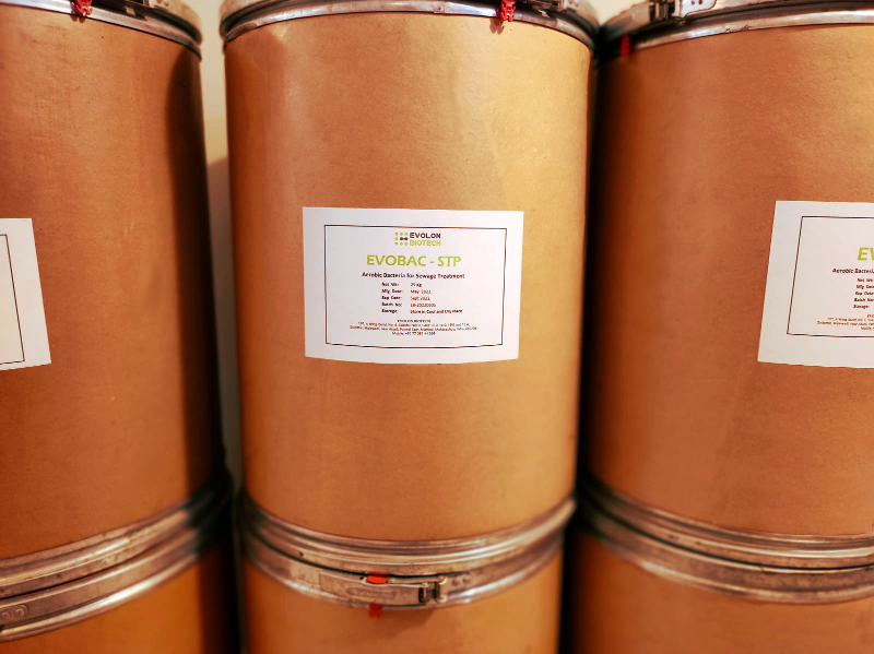 Bacteria for Sewage Treatment